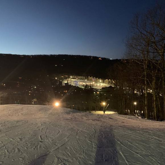 Meet your Posher, Matthew - Picture 1 of 1